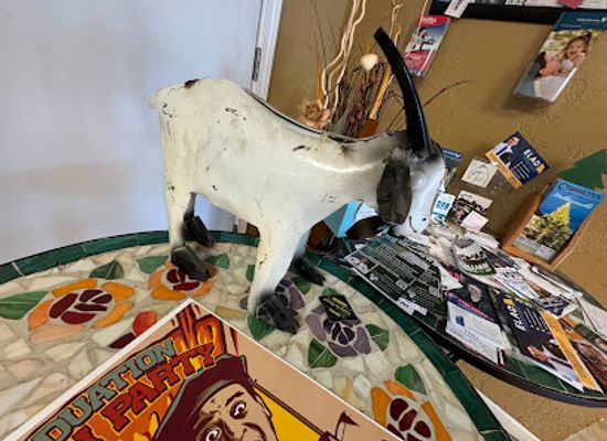 missouri/rolla/landmark/giddy-goat-coffee-house
