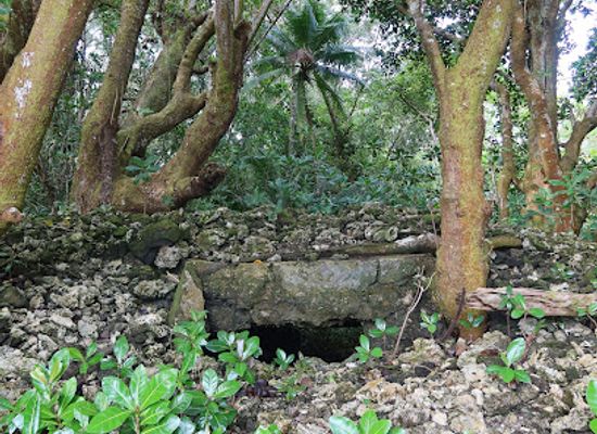 palau/peleliu/landmark/japanese-white-beach-enfilading-bunker