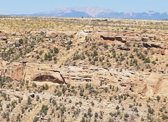 colorado/uncompahgre-plateau/landmark/balcony-house