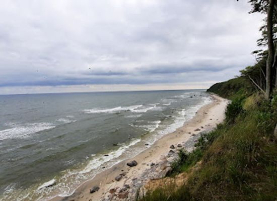 germany/rugen-island/landmark/marchenwald-auf-rugens-nordwest-halbinsel-wittow
