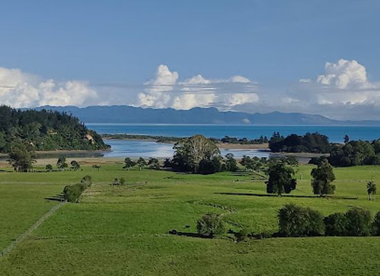 new-zealand/tasman/landmark/the-grove-scenic-reserve