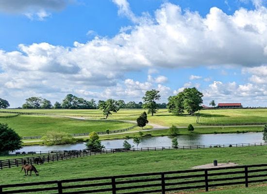kentucky/knobs-region/landmark/unique-horse-farm-tours