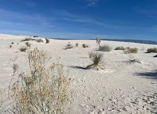 new-mexico/white-sands-national-park/landmark/sunset-stroll-meeting-area