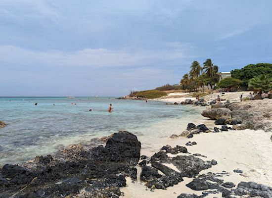 aruba/boca-catalina/landmark/boca-catalina-beach