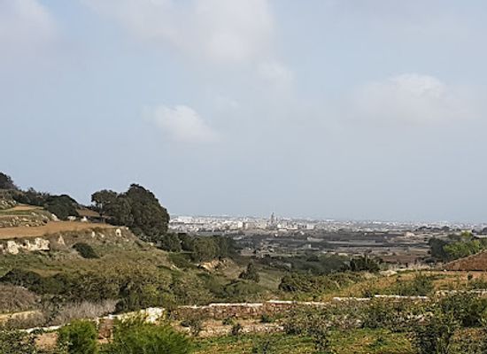 malta/dingli-cliffs/landmark/buskett-woods