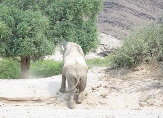 namibia/etosha-national-park/landmark/skeleton-coast-national-park