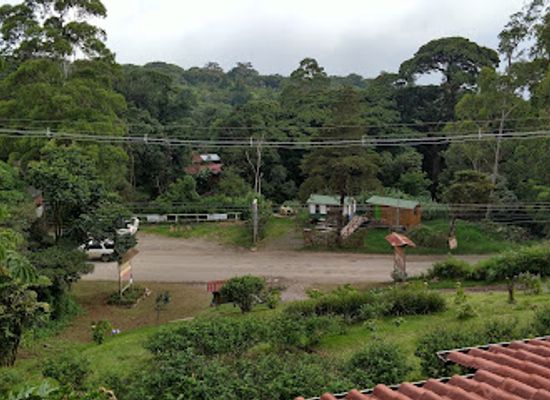 costa-rica/monteverde/landmark/the-bat-jungle