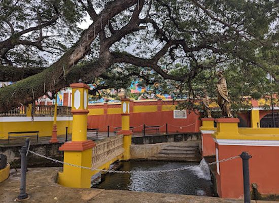 puerto-rico/aguadilla/landmark/ojo-de-agua
