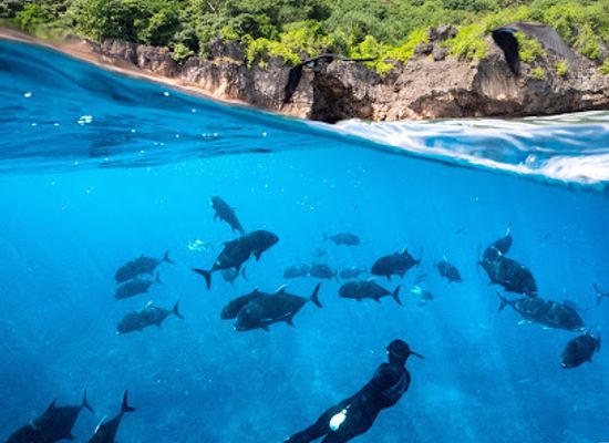 christmas-island/silver-city/landmark/freedive-christmas-island