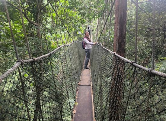 malaysia/taman-negara-national-park/landmark/taman-negara-tour