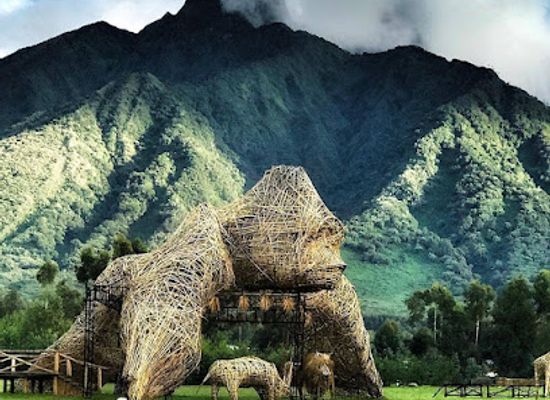 rwanda/volcanoes-national-park/landmark/afri-safaris-tours