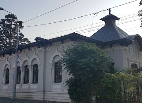romania/prahova/landmark/memorial-museum-paul-constantinescu