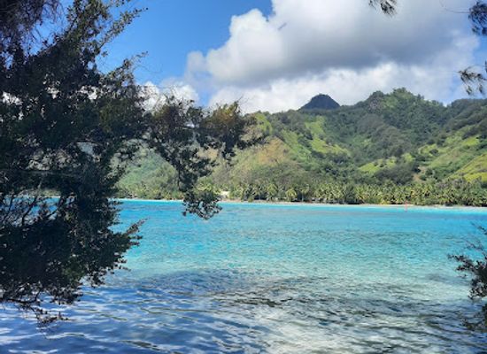 french-polynesia/moorea/landmark/coco-beach-moorea