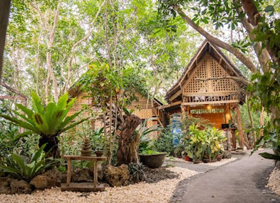 philippines/panglao-island/landmark/bohol-coco-farm-hostel