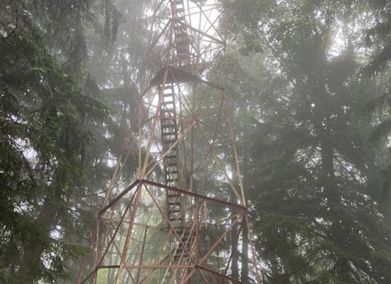 pennsylvania/western-pennsylvania/landmark/little-flat-fire-tower