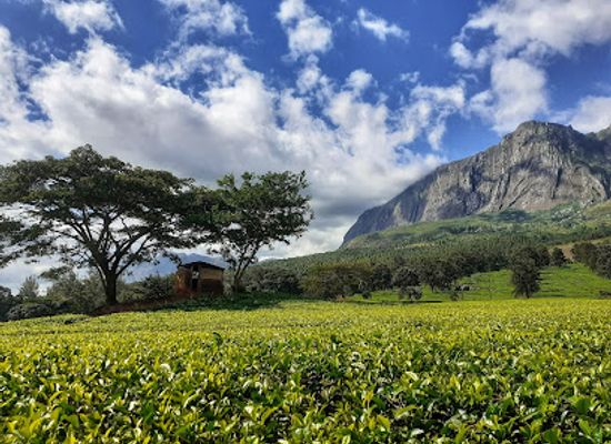 malawi/blantyre/landmark/adventures-with-colby