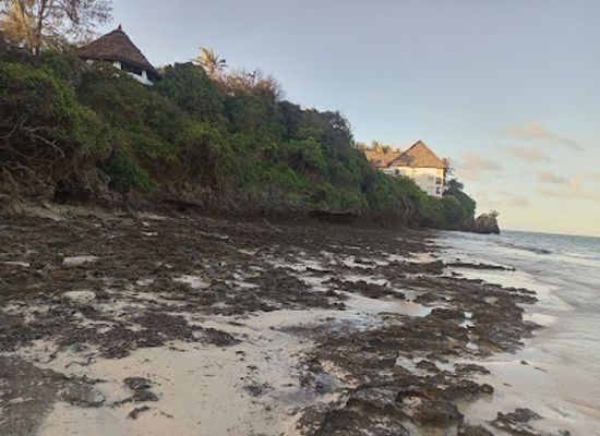 kenya/mombasa-beach/landmark/nyali-beach-south-point