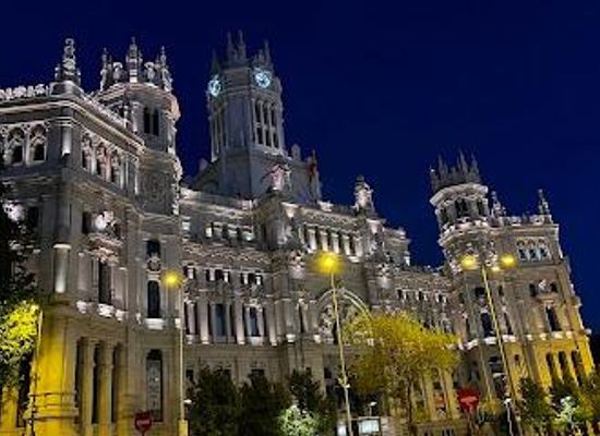 spain/madrid/landmark/palace-of-linares