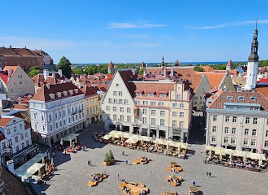 estonia/tallinn/old-town/landmark/town-hall-tower-and-old-thomas