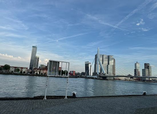 netherlands/rijnmond/landmark/nederlands-indie-monument