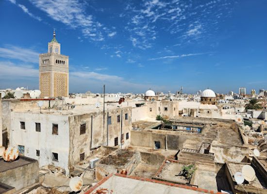 tunisia/tunis/medina-of-tunis/landmark/les-toits-de-la-medina-tunis