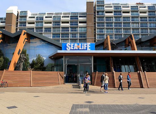netherlands/the-hague/scheveningen/landmark/sea-life-scheveningen