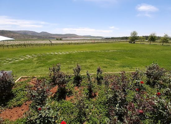 south-africa/drakensberg/landmark/cathedral-peak-wine-estate