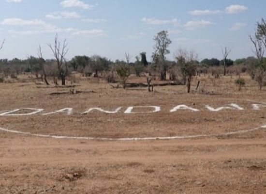 zimbabwe/harare/landmark/afrihype-safaris