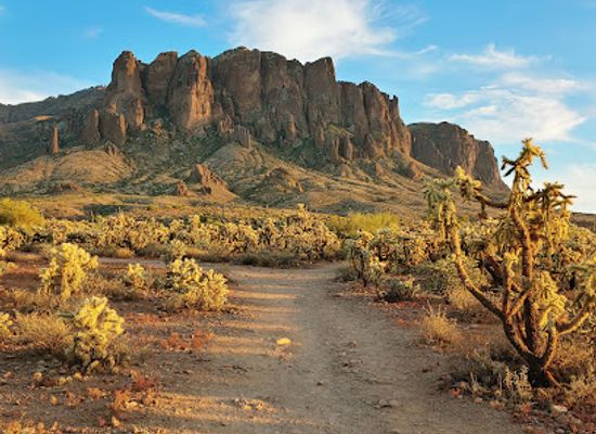 arizona/verde-valley/landmark/tonto-national-forest