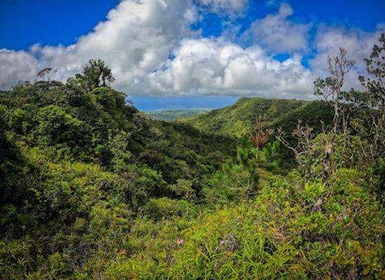mauritius/plaines-wilhems/landmark/cascade-500-pieds