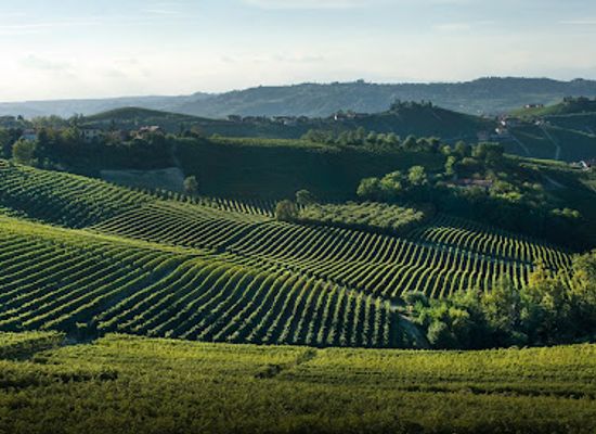italy/langhe/landmark/associazione-per-il-patrimonio-dei-paesaggi-vitivinicoli-di-langhe-roero-e-monferrato