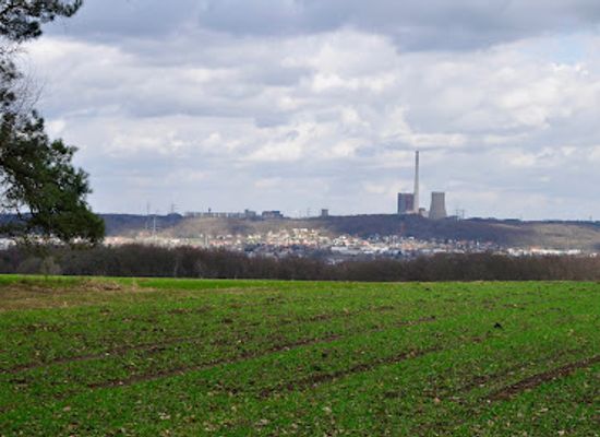 germany/westphalia/landmark/hockendes-weib
