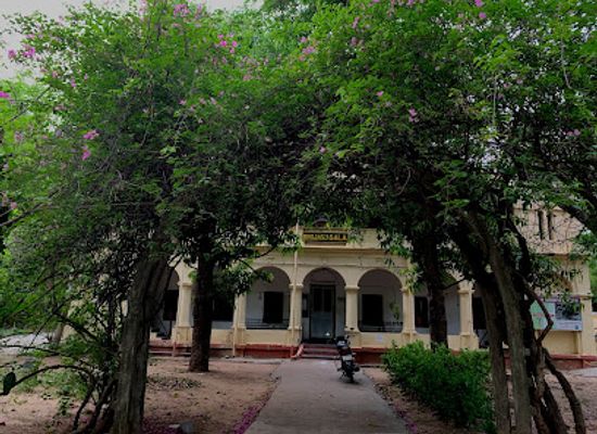 india/chennai/adyar/landmark/adyar-banyan-tree