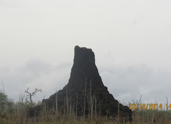 malawi/mulanje-massif/landmark/mvuu-camp