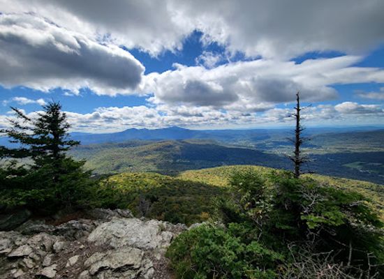vermont/lamoille-county/landmark/long-trail-state-forest