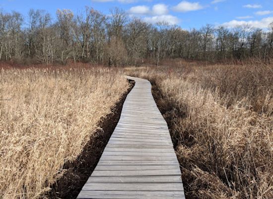connecticut/the-quiet-corner/landmark/little-pond-boardwalk-trail