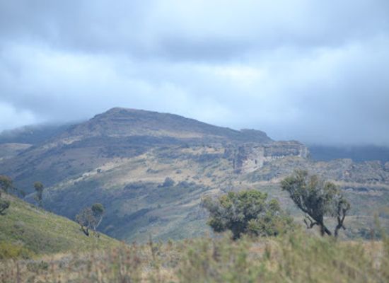 kenya/pokot-region/landmark/mount-elgon-national-park