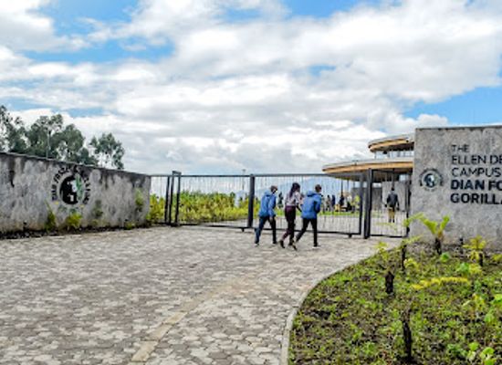 rwanda/northern-province/landmark/ellen-degeneres-campus-of-the-dian-fossey-gorilla-fund