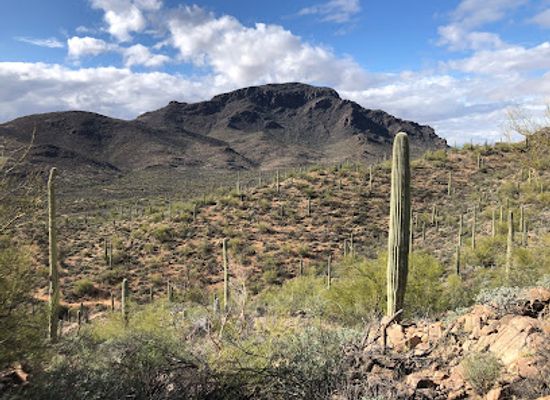 arizona/tucson-mountain-park/landmark/richard-e-genser-starr-pass-trailhead