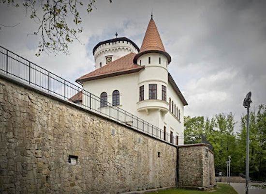 slovakia/zilina/landmark/budatin-castle
