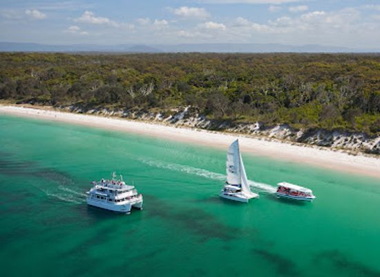 australia/jervis-bay/landmark/dolphin-watch-cruises-jervis-bay