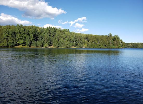 wisconsin/glacial-lake-wisconsin/landmark/plum-lake-hemlock-forest-state-natural-area