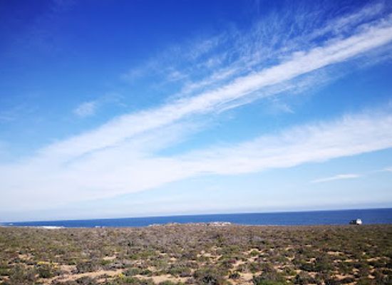 south-africa/northern-cape/landmark/namaqua-national-park