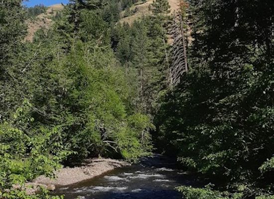 oregon/umatilla-county/landmark/north-fork-umatilla-wilderness
