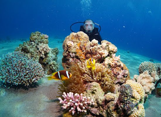 israel/negev/landmark/nautilus-red-sea