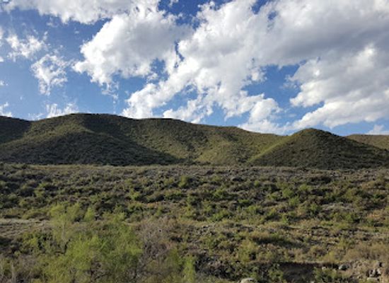 argentina/cuyo/landmark/el-viejo-durmiente-carloncho-exposicion-naturalia