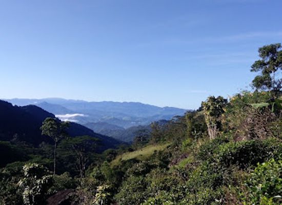sri-lanka/knuckles-mountain-range/landmark/trek-in-the-knuckles-mountain-range