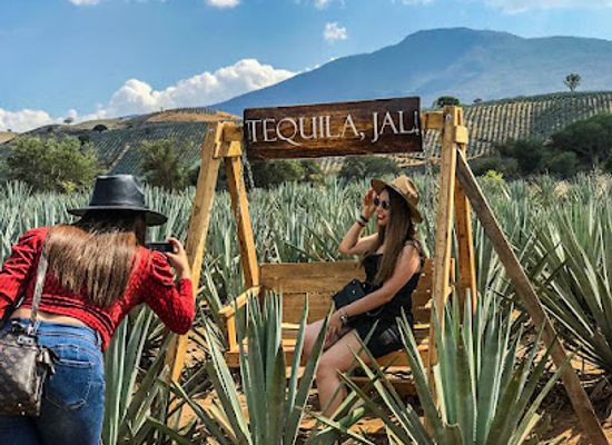 mexico/tequila-valley/landmark/la-magia-del-tequila