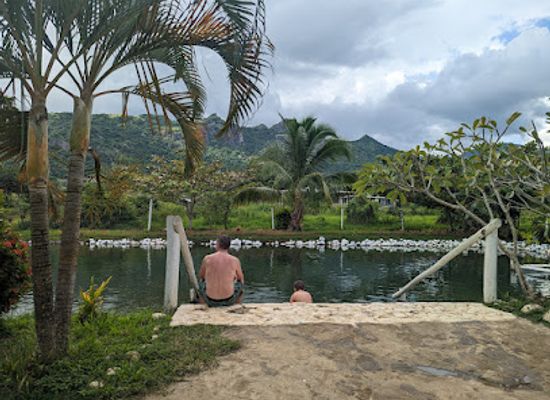fiji/ba/landmark/tifajek-mud-pool-hot-spring-tours-and-transfers