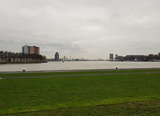 netherlands/south-holland/landmark/holland-amerikaplein